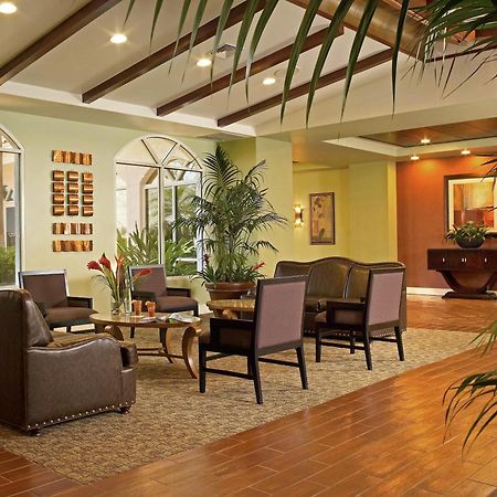 Palm Beach Shores Resort And Vacation Villas Интерьер фото